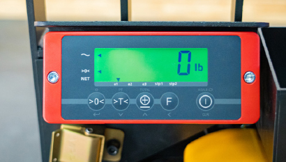 LPT40-DSD Integrated Scale