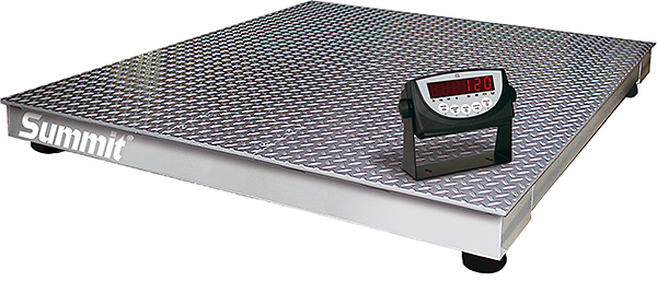 Rice Lake Summit 3000 Floor Scale with 120 Indicator
