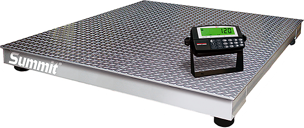 Rice Lake Summit 3000 Floor Scale with 120 Plus Indicator