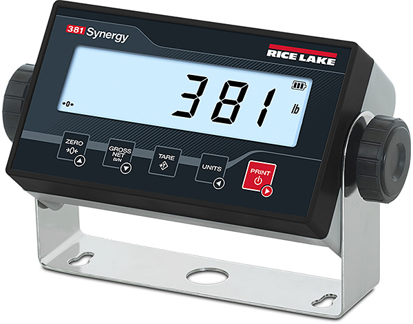 Rice Lake 381 Indicator