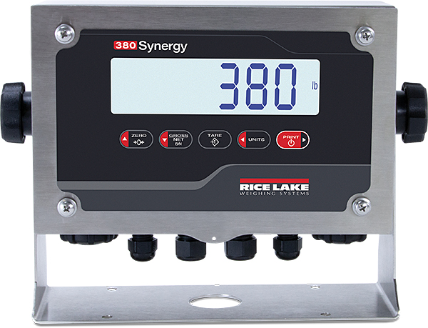 Rice Lake 380 Indicator