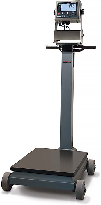 Rice Lake RL1200 IS Intrinsically Safe Beam Scale